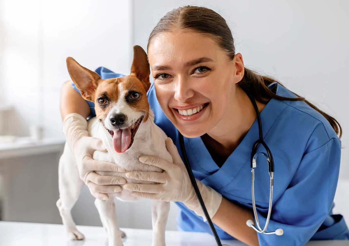 Szkolenie okresowe BHP dla lekarzy weterynarii i techników weterynarii